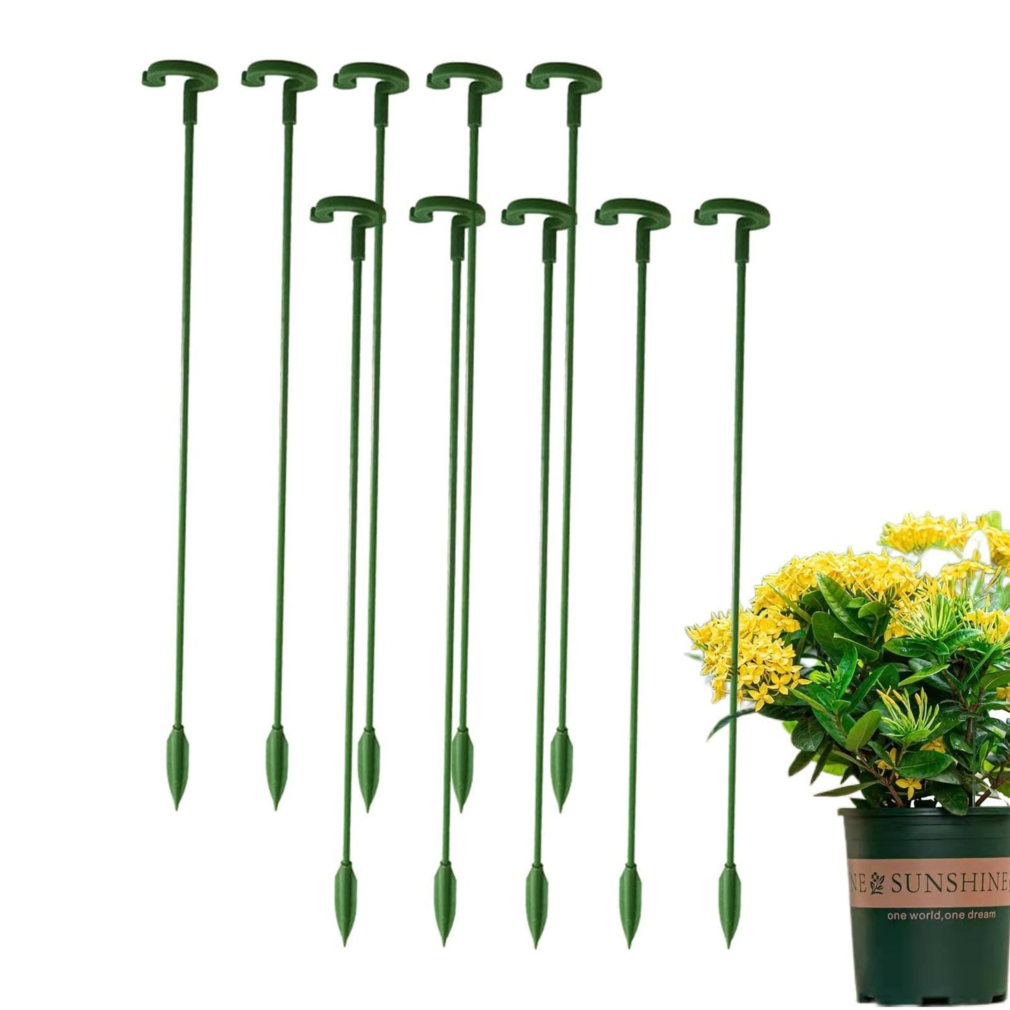 30 Plant Stakes, Garden Plant Support Sticks, Plant Stakes for Indoor Plants, Support Stakes for Potted Plants, Plant Cage Support, for Plants Peony, Amaryllis, Marigold, Sapling
