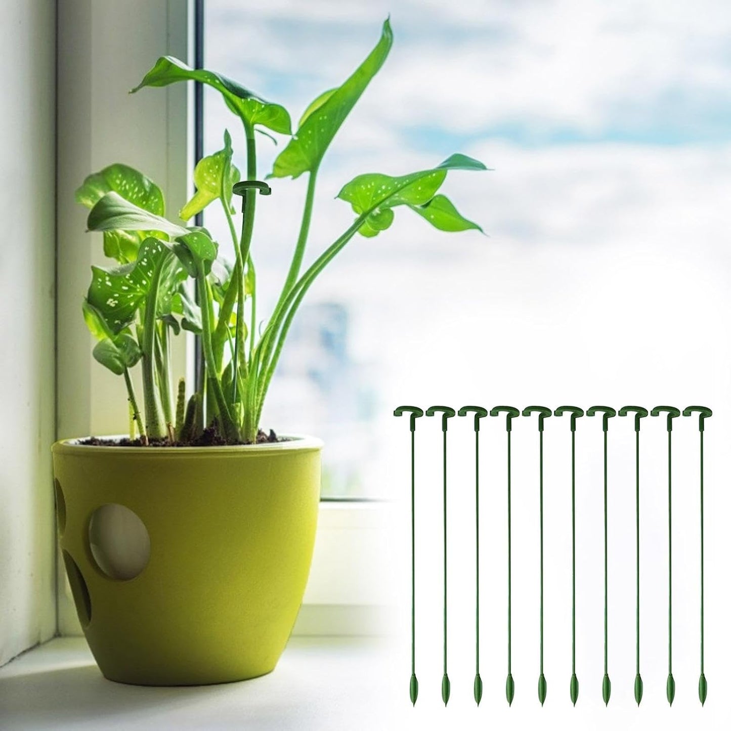30 Plant Stakes, Garden Plant Support Sticks, Plant Stakes for Indoor Plants, Support Stakes for Potted Plants, Plant Cage Support, for Plants Peony, Amaryllis, Marigold, Sapling