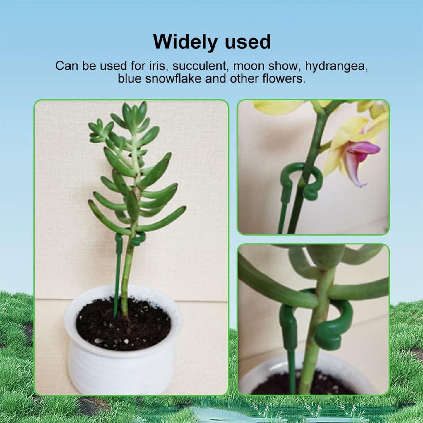 30 Plant Stakes, Garden Plant Support Sticks, Plant Stakes for Indoor Plants, Support Stakes for Potted Plants, Plant Cage Support, for Plants Peony, Amaryllis, Marigold, Sapling