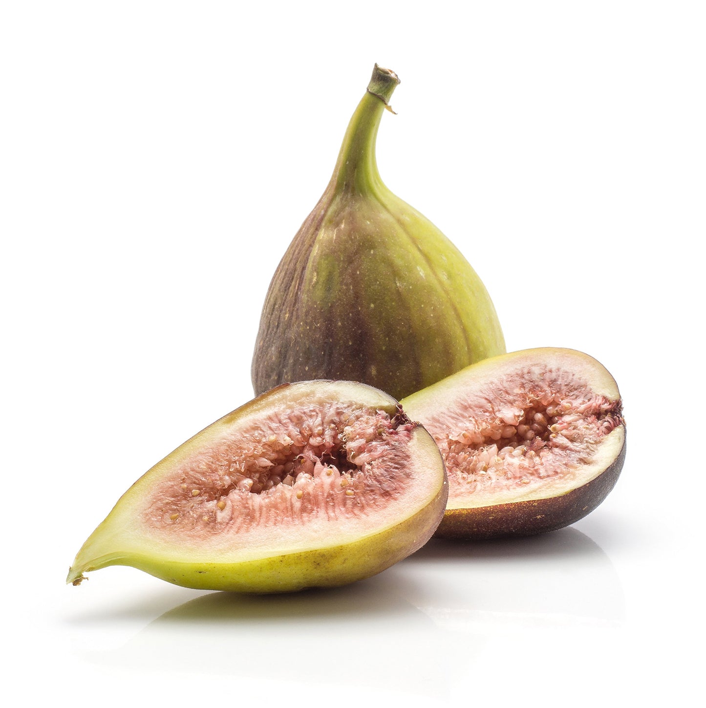 Lattarula Honey Fig (Italian Honey) Live Fig Plant - Ficus carica by Wellspring Gardens - Starter Plant for Your Garden and Patio - Grow Your Own Edible Fruit Tree