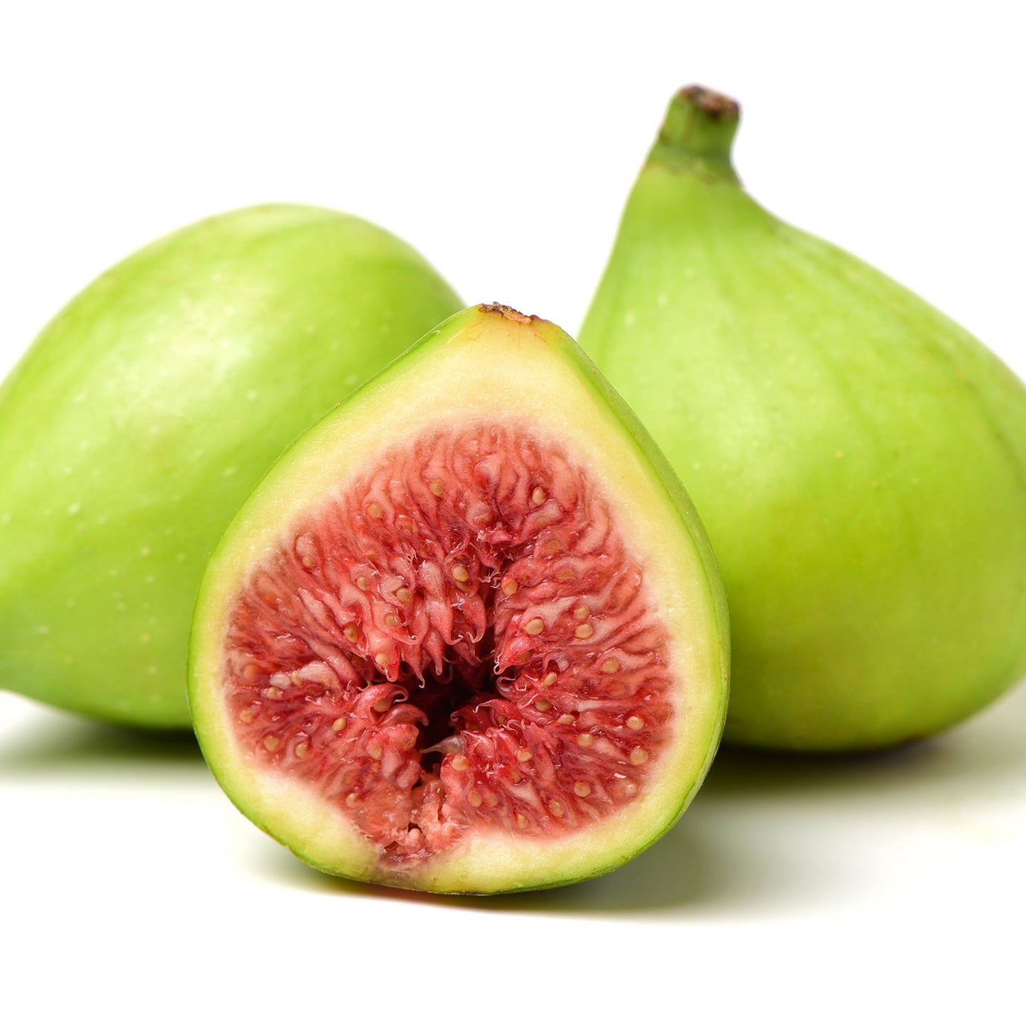 Fignomenal Dwarf Fig Live Plant - Ficus carica - Wellspring Gardens Starter Potted Plant for Indoor and Outdoor Home Decor, Gift Essential for House