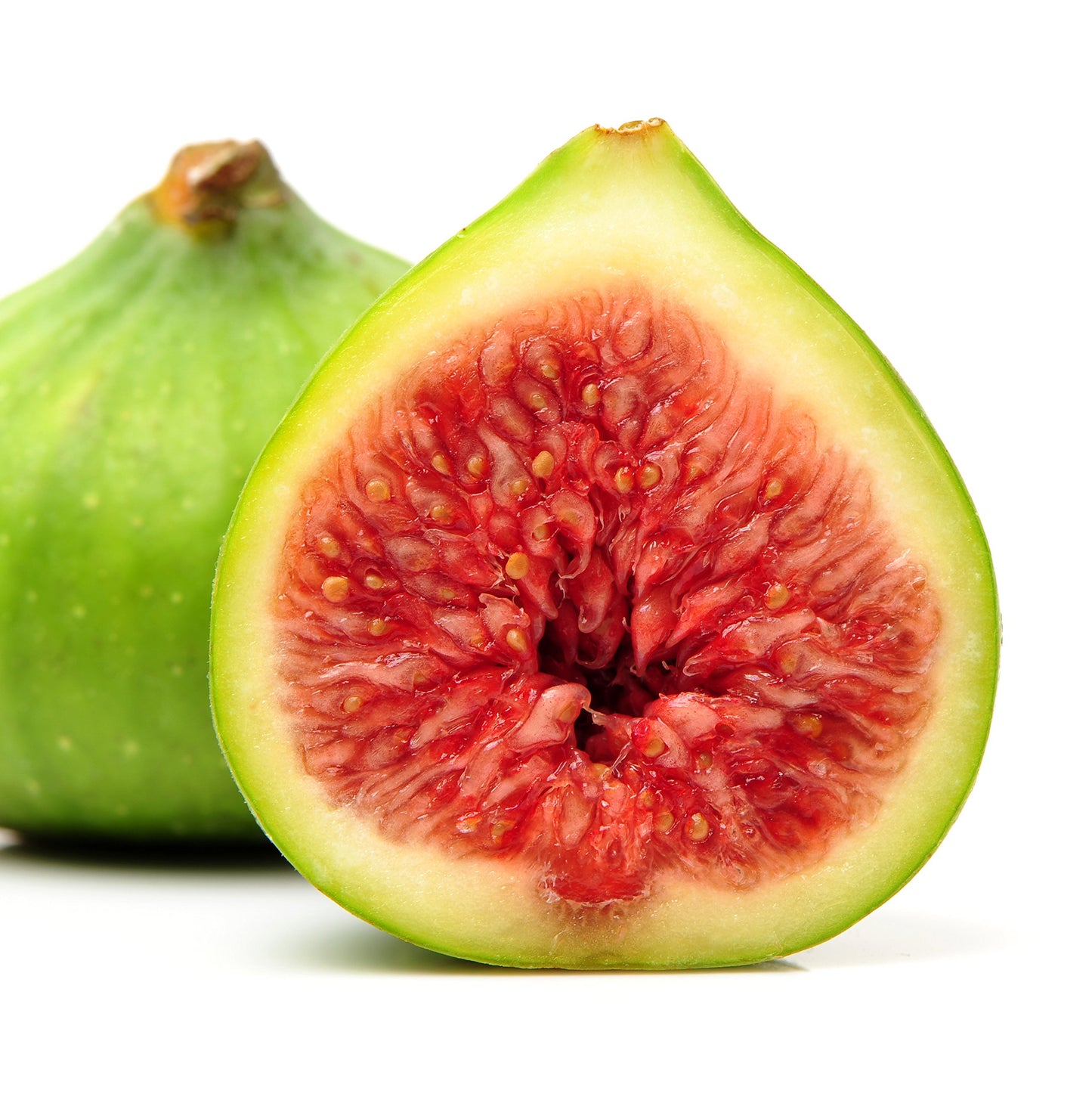 Lattarula Honey Fig (Italian Honey) Live Fig Plant - Ficus carica by Wellspring Gardens - Starter Plant for Your Garden and Patio - Grow Your Own Edible Fruit Tree